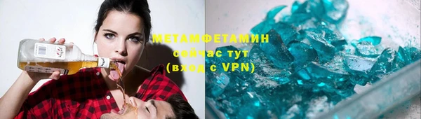 прущие грибы Тавда