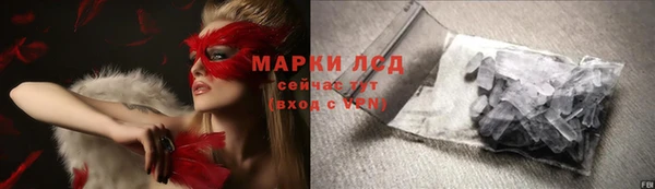 гидра Тайга