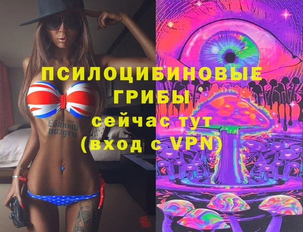 прущие грибы Тавда