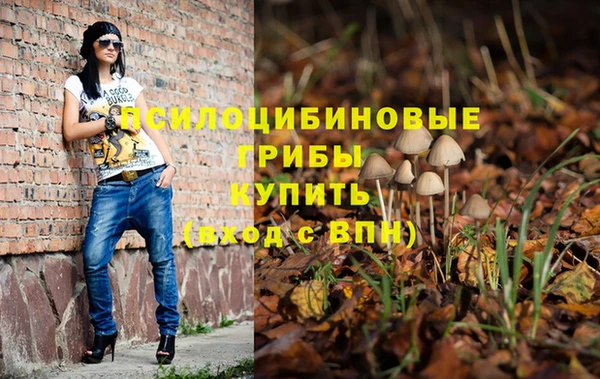 герыч Сясьстрой