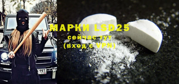 прущие грибы Тавда