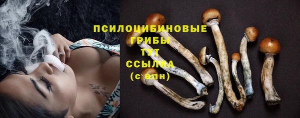 герыч Сясьстрой